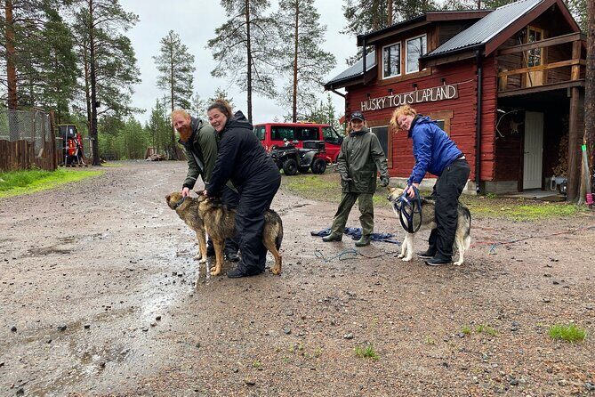 Autumn Husky Sit and Drive Cart Tour from Kiruna - An Authentic, Hands-On Husky Adventure in Kiruna