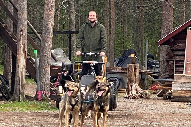 Autumn Husky Sit and Drive Cart Tour from Kiruna - Final Thoughts
