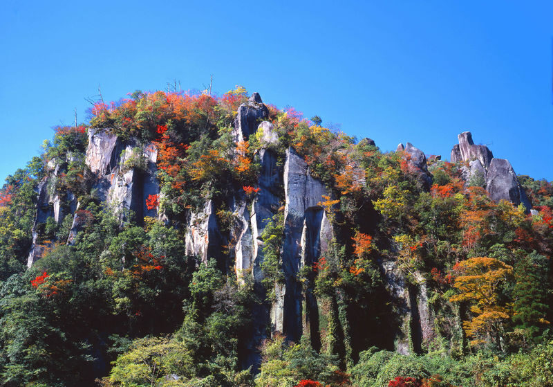 Autumn Limited: Kokonoe Bridge, Usa Shrine, Yabakei from Fukuoka - Kokonoe Yume Bridge: high views and cold fingers