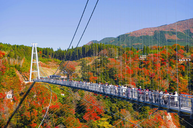Autumn Limited: Kokonoe Bridge, Usa Shrine, Yabakei from Fukuoka - Usa Shrine: a quieter cultural finish