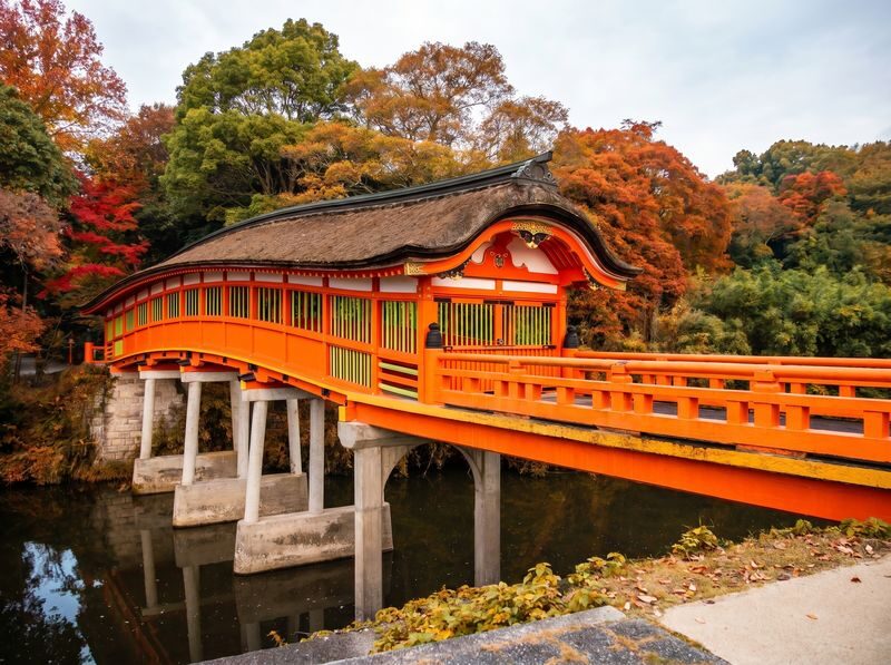 Autumn Limited: Kokonoe Bridge, Usa Shrine, Yabakei from Fukuoka - What to bring and what to check