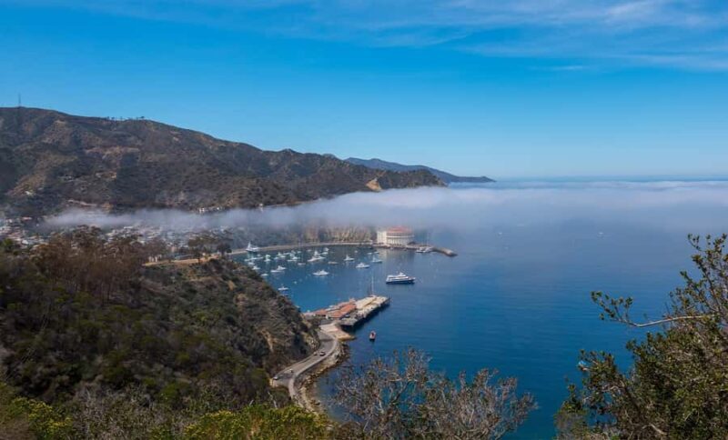 Avalon, Catalina Island: 2-Hour Inside Adventure Tour - The Essentials: Overview and What to Expect