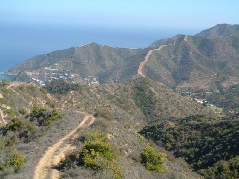 Avalon, Catalina Island: 2-Hour Inside Adventure Tour - Discover Catalina Island’s Interior: A 2-Hour Guided Adventure