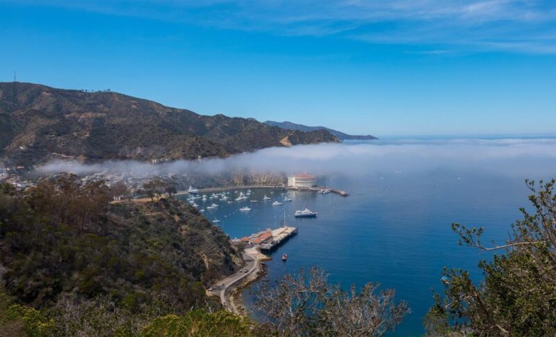 Avalon, Catalina Island: 2-Hour Inside Adventure Tour - Who Will Love This Tour?