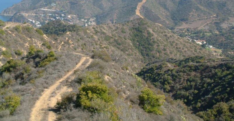 Avalon, Catalina Island: 2-Hour Inside Adventure Tour - Final Thoughts