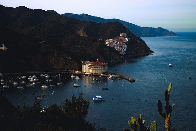 Avalon on Foot Self-Guided Audio Tour of Catalina Island - Final Thoughts