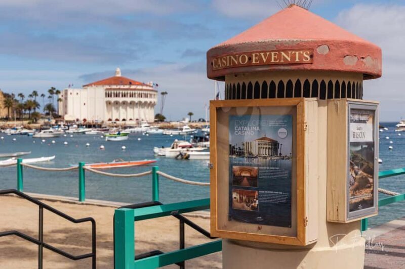 Avalon: Private Golf Cart Tour with Driver-Guide - The Experience in a Nutshell