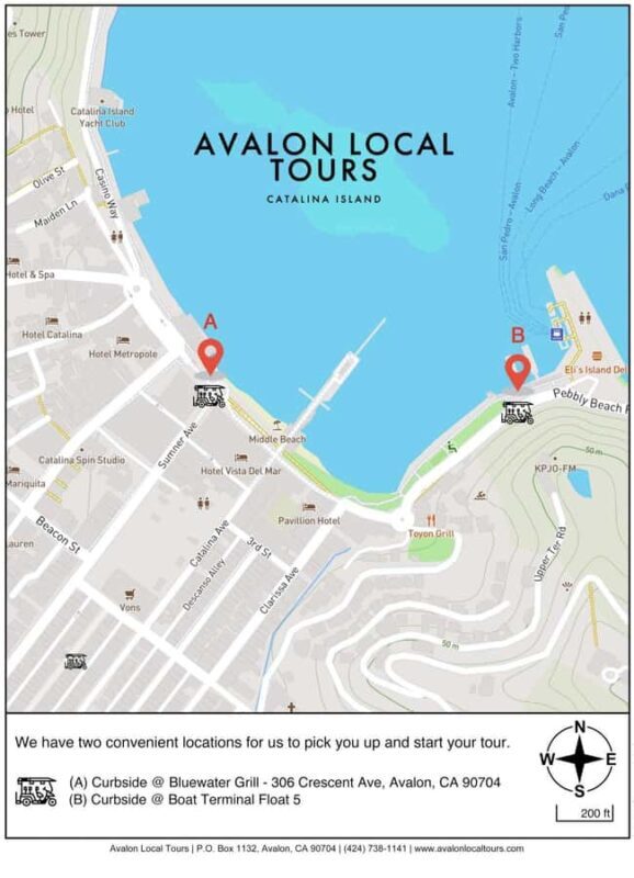 Avalon: Private Golf Cart Tour with Driver-Guide - Who Will Love This Tour?