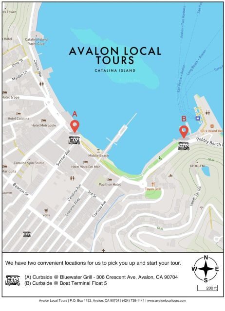 Avalon: Private Golf Cart Tour with Driver-Guide - Key Points