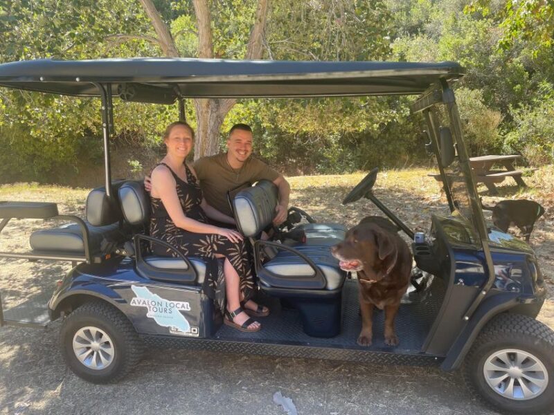 Avalon: Private Golf Cart Tour with Driver-Guide - Why We Think This Tour Offers Great Value