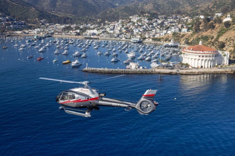 Avalon: Santa Catalina Island Aerial Helicopter Tour - Who Should Consider This Tour?