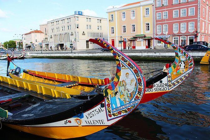 Aveiro and Coimbra from Porto with Moliceiro Boat Trip - A Deep Dive into the Experience