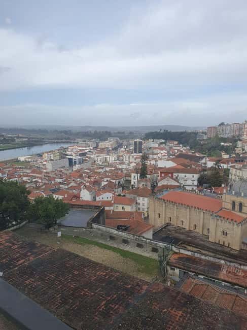 Aveiro and Coimbra private tour from Porto - Who Will Love This Tour?