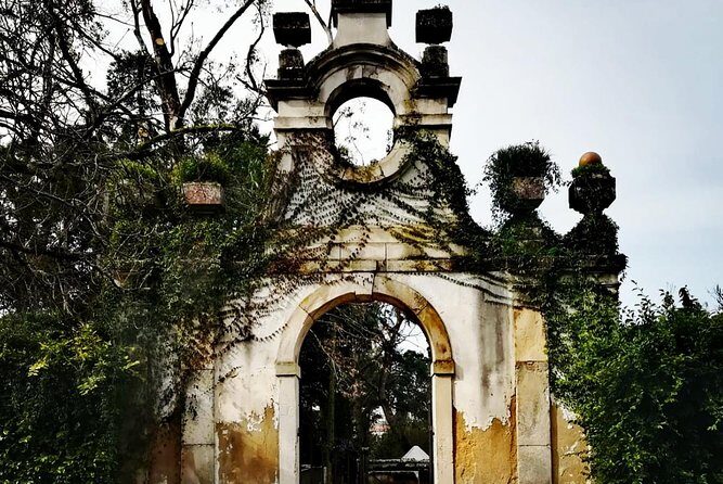 Aveiro and Coimbra Private Tour From Porto - What Makes This Tour Stand Out?