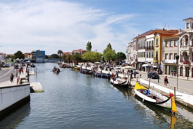AVEIRO AND NEW COSTA: Private Full-Day Tour from Porto - Who Should Book This Tour?