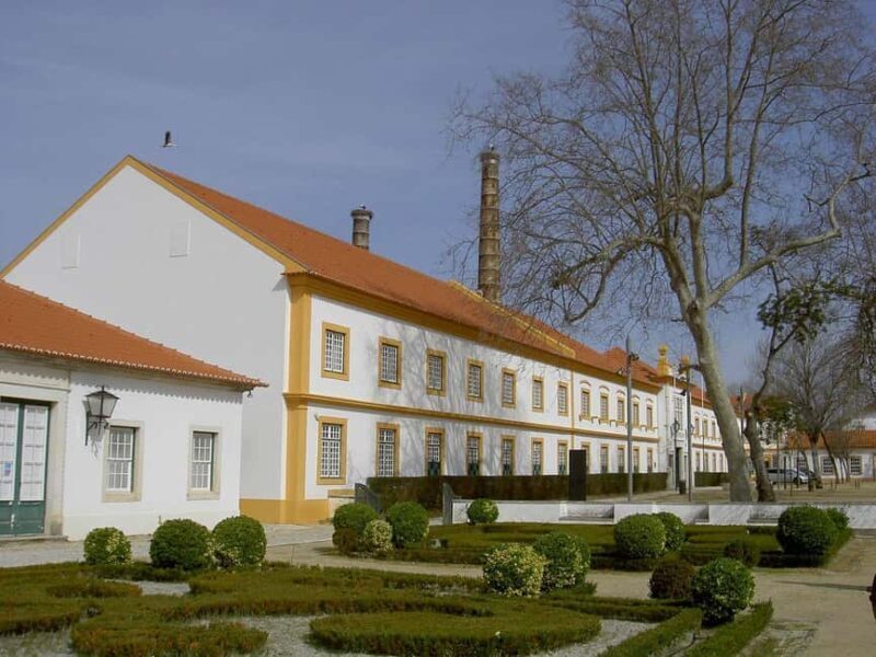 Aveiro City Tour: Private day trip with tickets included. - The Authenticity and Value of the Tour