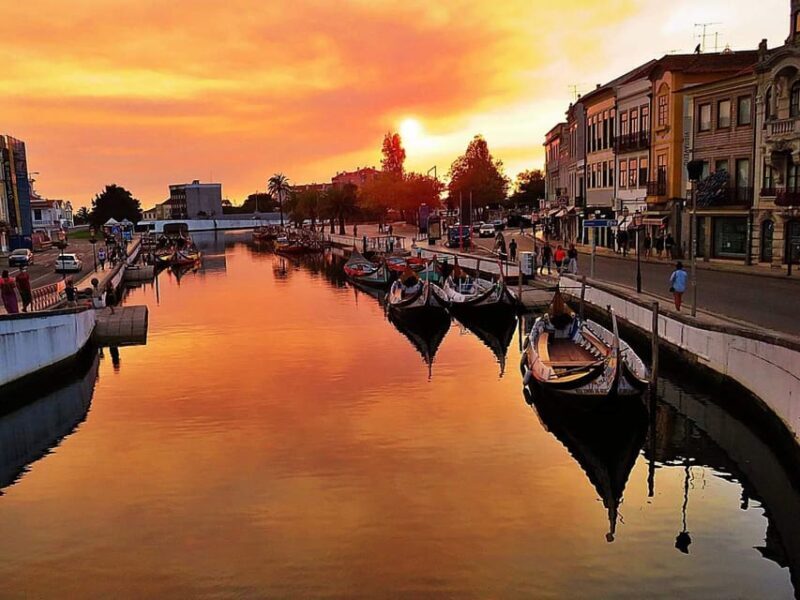 AVEIRO, COSTA NOVA E COIMBRA: Private Tour from Porto - Final Thoughts
