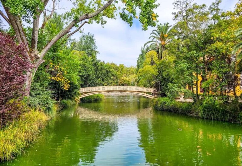 Aveiro: Cruise, Museums & Heritage  Tickets Included - FAQ