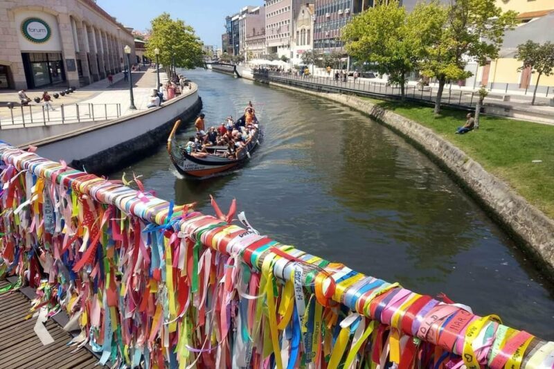 AVEIRO E COSTA NOVA: Private Full-Day Tour w/Boat from Porto - Key Points