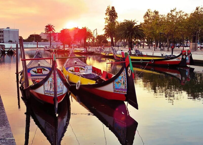 AVEIRO E COSTA NOVA: Private Full-Day Tour w/Boat from Porto - Who Would Enjoy This Tour?