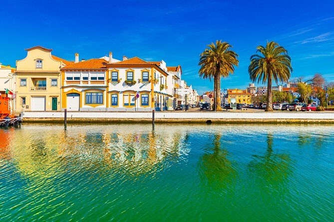 Aveiro Half Day Private Tour Porto w/ Moliceiro River Cruise - Who is This Tour Best Suited For?