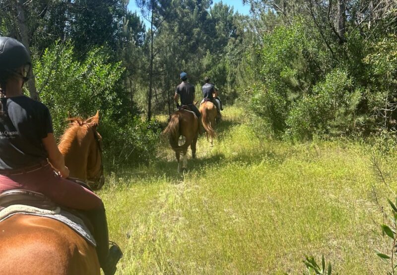 Aveiro: Horse Riding Experience with Instructor - An In-Depth Look at the Experience