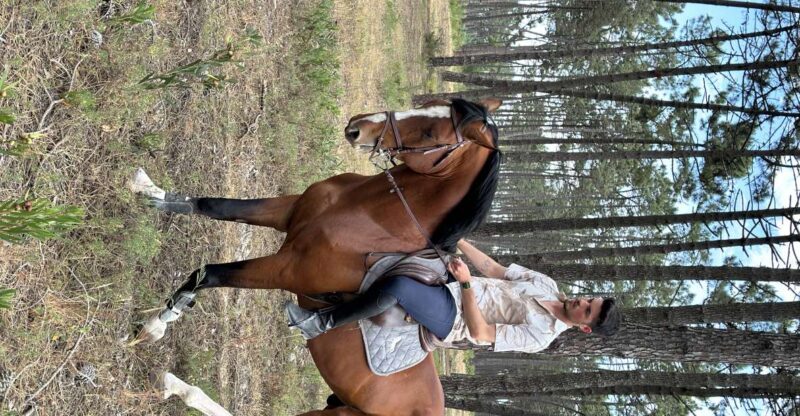 Aveiro: Horse Riding Experience with Instructor - What Reviewers Say