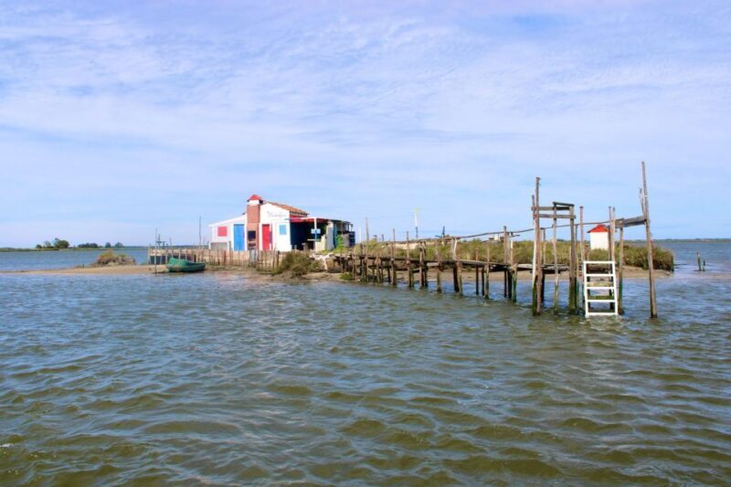 Aveiro: passeio de barco típico com degustação - 90 min - A Quick Look at the Experience