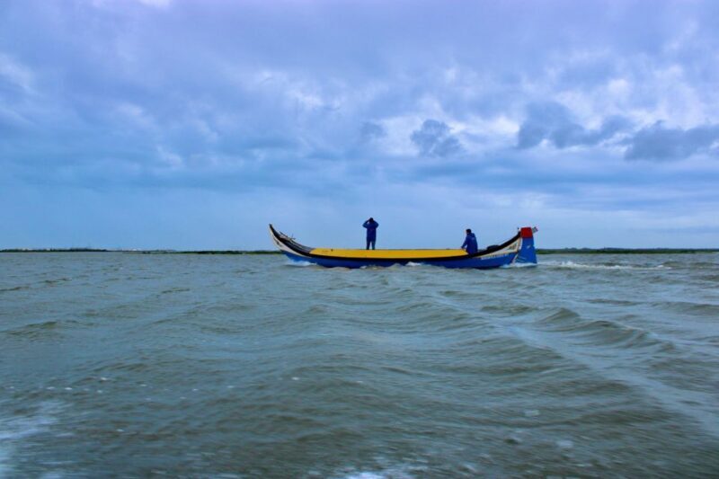 Aveiro: passeio de barco típico com degustação - 90 min - Key Points