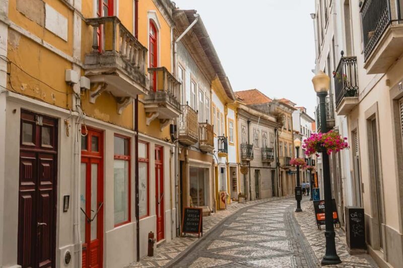 Aveiro: Private & Flexible Walking Tour in Historic Center - Deep Dive into the Aveiro Walking Tour Experience