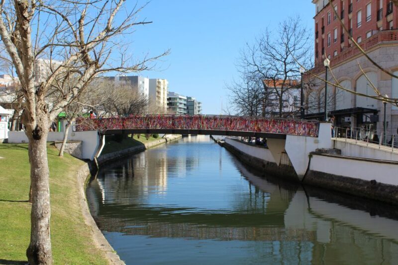 Aveiro: Private Walking Tour in the City and Moliceiro boat - Key Points