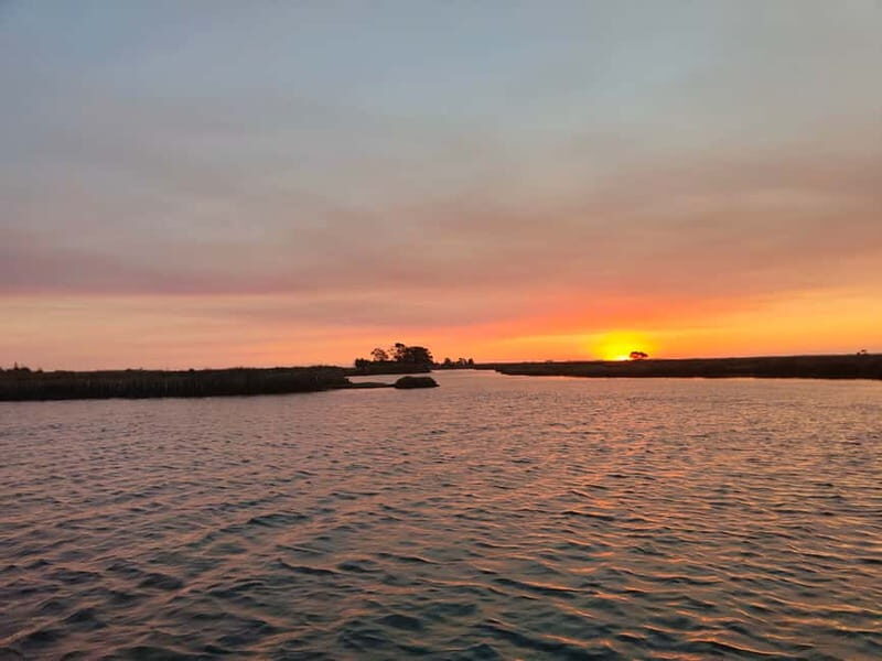 Aveiro: Ria Highlights Boat Tour - In-Depth Review of the Aveiro Ria Highlights Boat Tour
