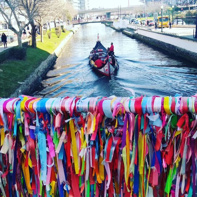 Aveiro: Walking Tour, Boat Cruise, Sweets & Church Entrance - Analyzing the Value and Experience