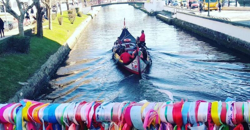 Aveiro: Walking Tour, Boat Cruise, Sweets & Church Entrance - The Sum Up: A Great Introduction with Authentic Flair