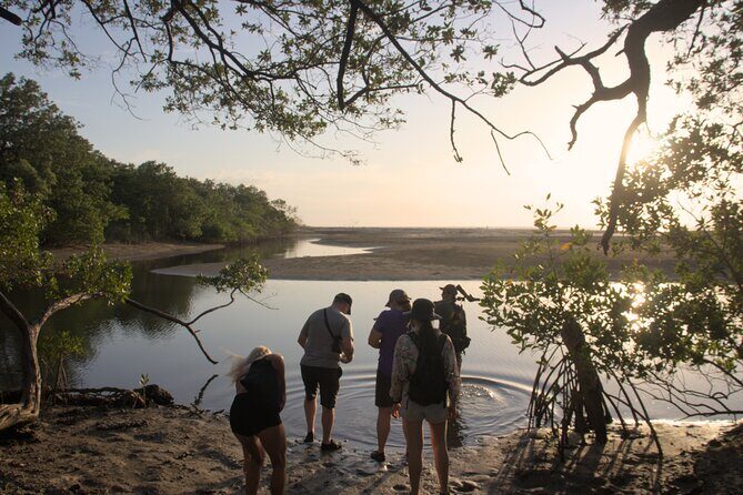 Avellanas Wildlife Walk - Discover the Avellanas Wildlife Walk: A Genuine Encounter with Costa Rica’s Ecosystems