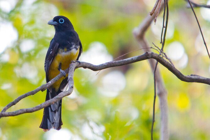 Avellanas Wildlife Walk - Key Points