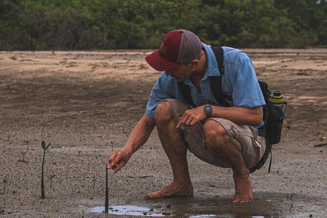 Avellanas Wildlife Walk - Who Should Consider This Tour?