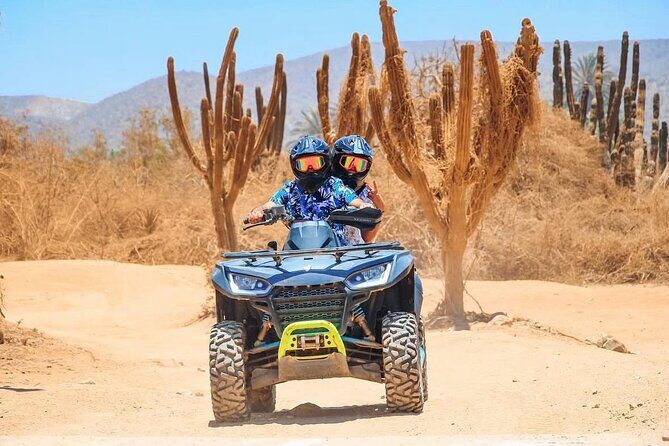 Aventura extrema en ATV por el desierto y playa en Cabo San Lucas - Price, Value, and Practical Tips
