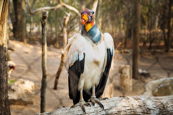 Aviario Nacional Including Playa Blanca Shared Tour - Exploring the Itinerary in Detail
