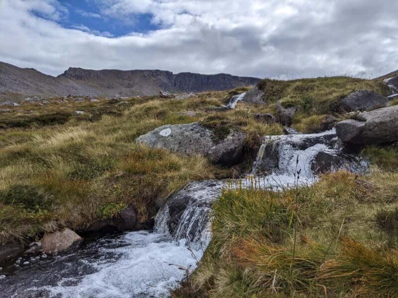 Aviemore: Ben Macdui Guided Hike - Who Will Love This Tour?
