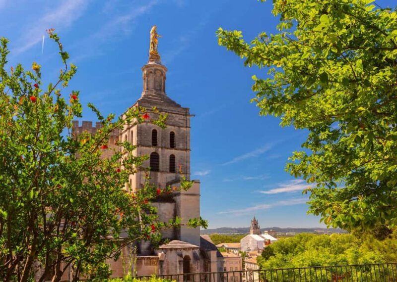 Avignon: Express Walk with a Local in 60 minutes - Why This Tour Works for Different Travelers