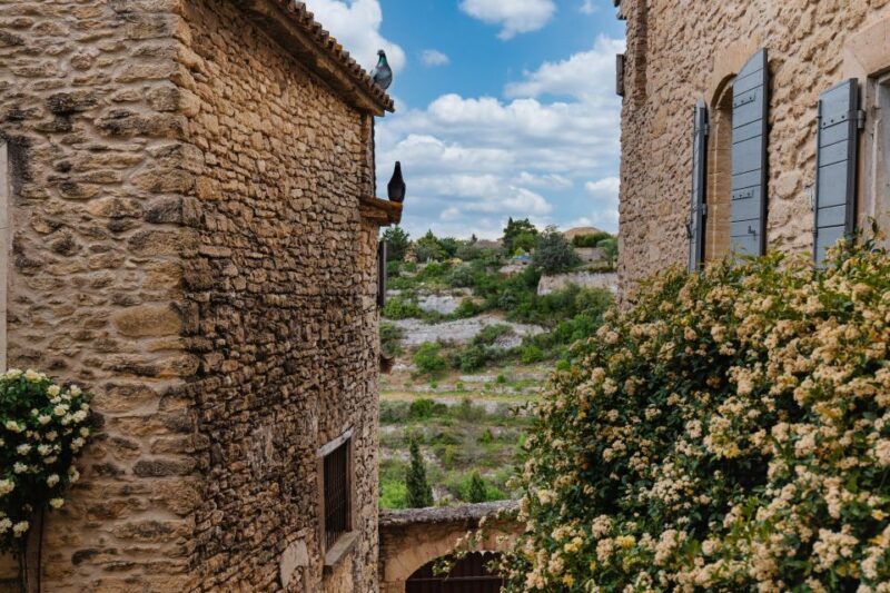 Avignon: Full-Day Châteauneuf du Pape Wines & Luberon Tour - A Deeper Look at the Experience