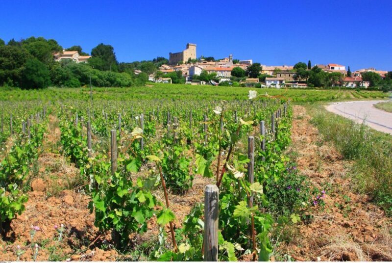 Avignon: Full-Day Wine Tour around Châteauneuf-du-Pape - What You Can Expect from This Full-Day Wine Tour
