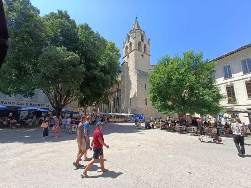 Avignon : Half-Day Walking Tour with Private Guide - An Inviting Walk Through Avignon: Half-Day Private Guided Tour