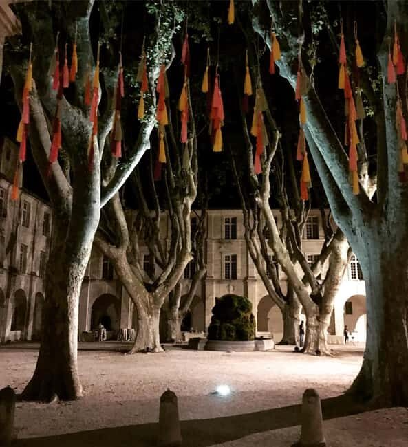 Avignon: La Noctambule du Pape Night Tour - The Practicalities: What to Expect