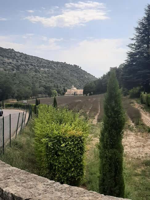 Avignon: Luberon, Gordes, and Roussillon Half-Day Tour - Who Will Enjoy This Tour?