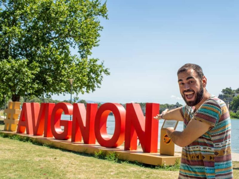 Avignon: Private 2-Hour Intro City Walk with Local Guide - Why This Tour Offers Great Value
