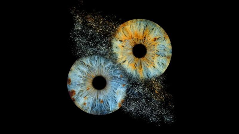 Avignon: Reveal the beauty of your iris with Iris Galerie - Key Points