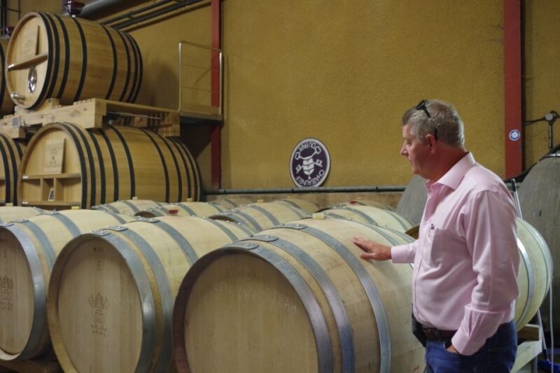 Avignon: Wine Tasting Tour - An Honest Look at the Avignon Wine Tasting Experience
