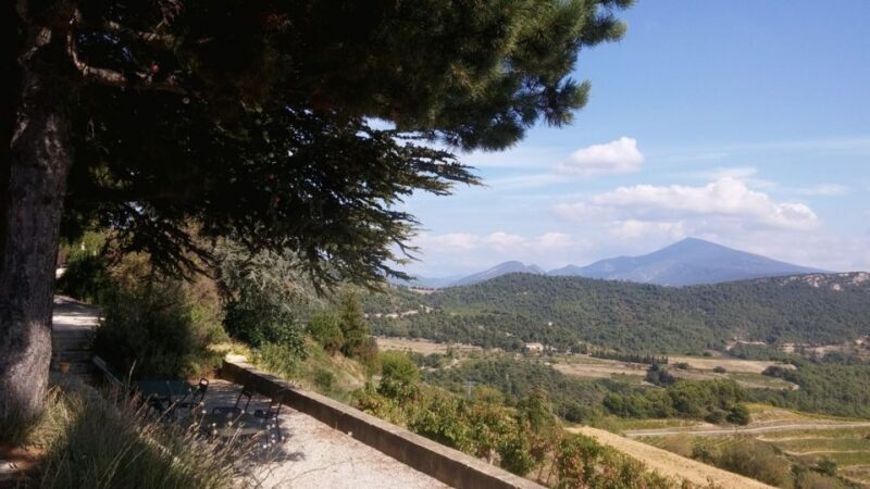 Avignon: Wine Tasting Tour - FAQ